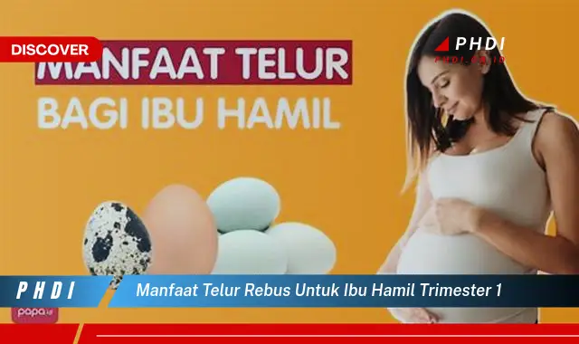 manfaat telur rebus untuk ibu hamil trimester 1