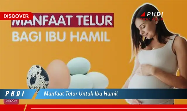 manfaat telur untuk ibu hamil