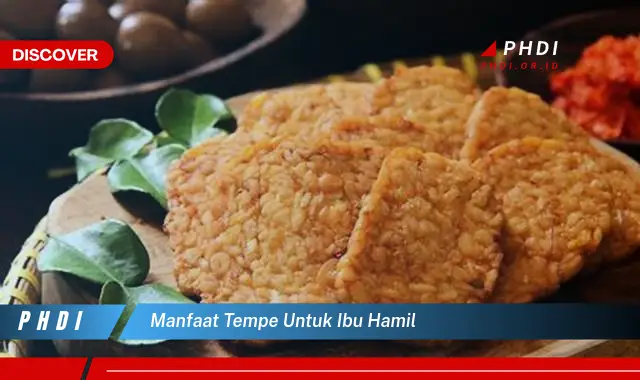 manfaat tempe untuk ibu hamil