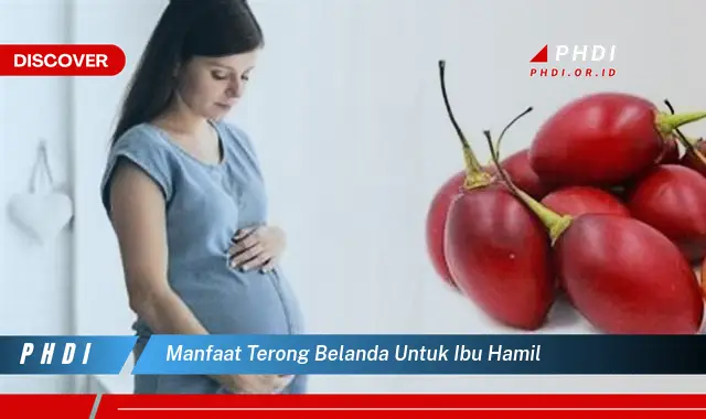 manfaat terong belanda untuk ibu hamil