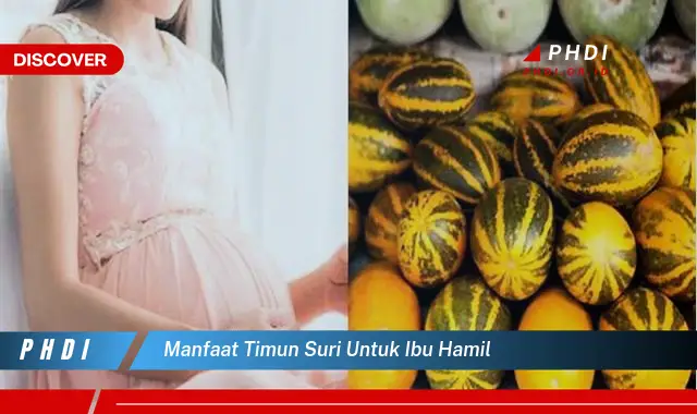 manfaat timun suri untuk ibu hamil