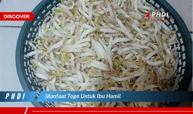 manfaat toge untuk ibu hamil