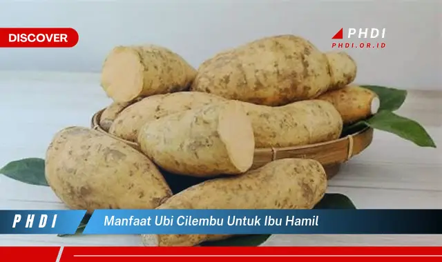 manfaat ubi cilembu untuk ibu hamil