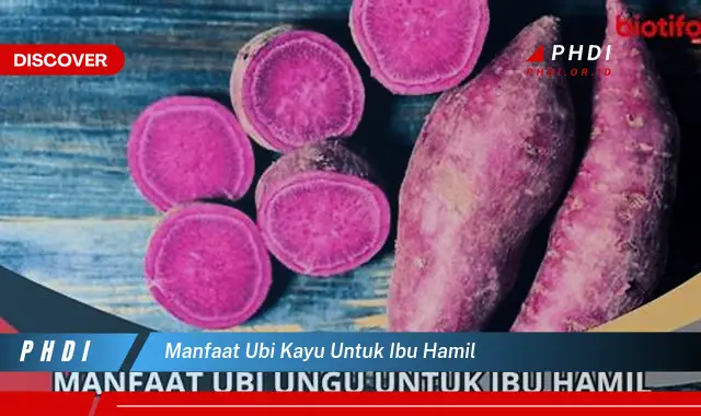 manfaat ubi kayu untuk ibu hamil