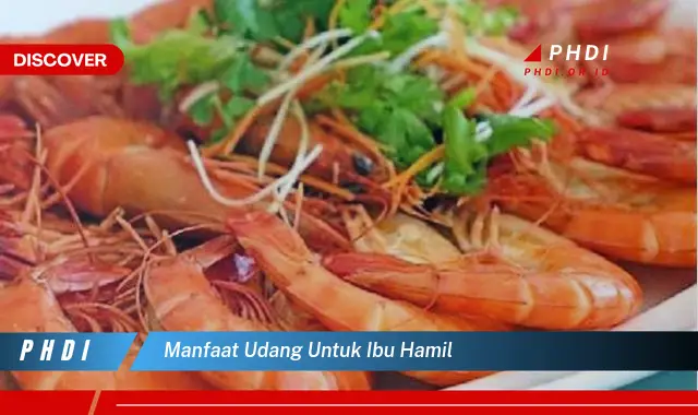 manfaat udang untuk ibu hamil