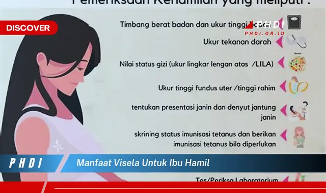 Temukan 7 Manfaat Visela Untuk Ibu Hamil Yang Jarang Diketahui