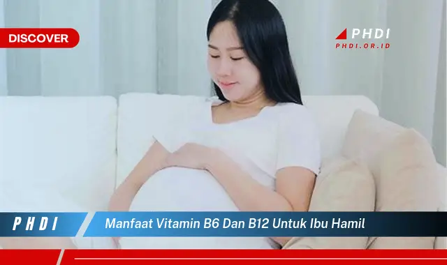 manfaat vitamin b6 dan b12 untuk ibu hamil