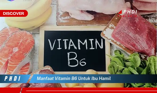 manfaat vitamin b6 untuk ibu hamil