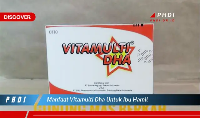 manfaat vitamulti dha untuk ibu hamil