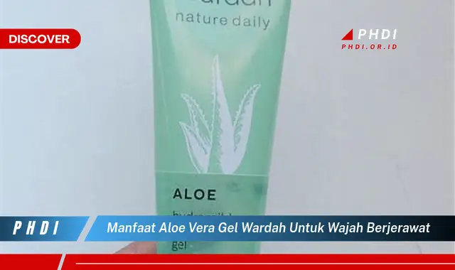 manfaat aloe vera gel wardah untuk wajah berjerawat