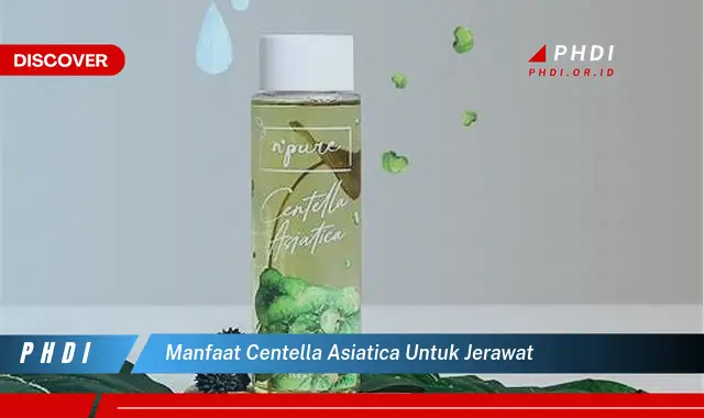 manfaat centella asiatica untuk jerawat