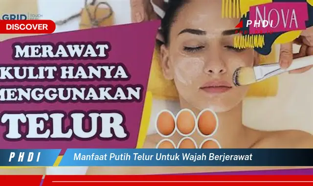 manfaat putih telur untuk wajah berjerawat