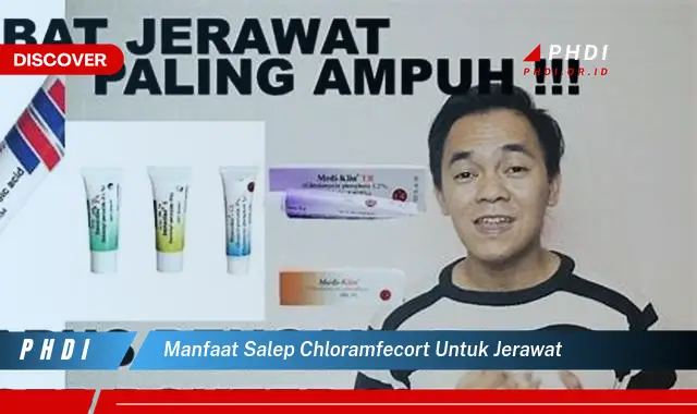 manfaat salep chloramfecort untuk jerawat