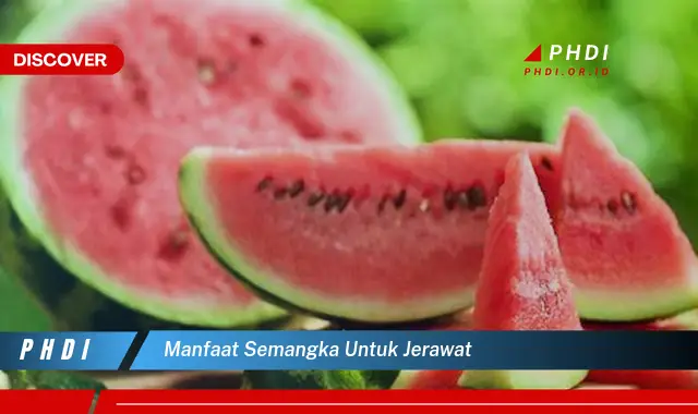 manfaat semangka untuk jerawat