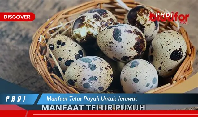 manfaat telur puyuh untuk jerawat