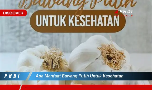 apa manfaat bawang putih untuk kesehatan