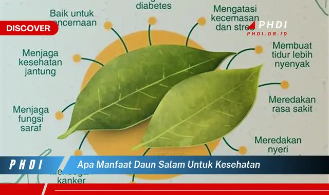 apa manfaat daun salam untuk kesehatan