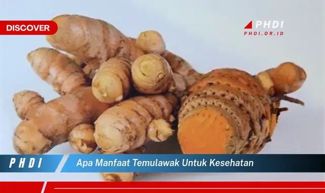 apa manfaat temulawak untuk kesehatan