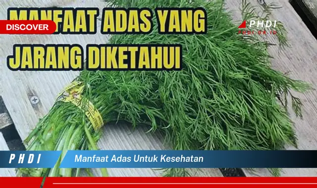 manfaat adas untuk kesehatan