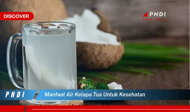 manfaat air kelapa tua untuk kesehatan