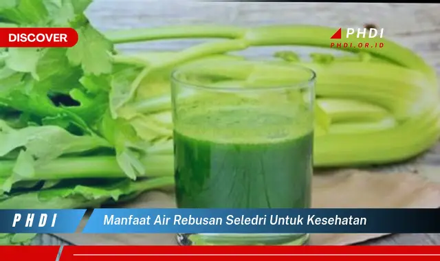 manfaat air rebusan seledri untuk kesehatan