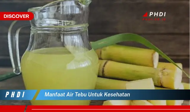 manfaat air tebu untuk kesehatan