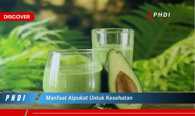 manfaat alpukat untuk kesehatan