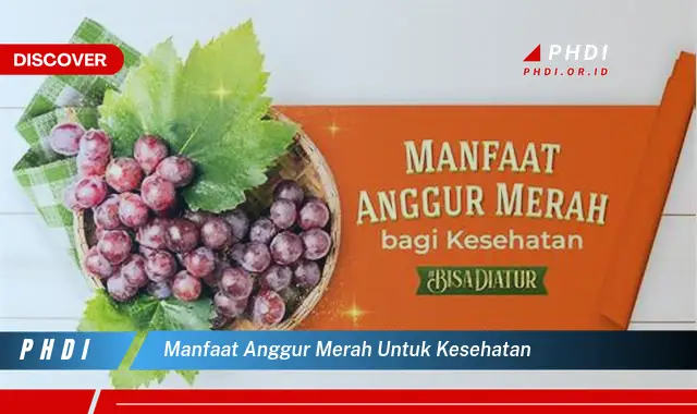 manfaat anggur merah untuk kesehatan