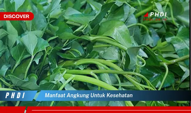 manfaat angkung untuk kesehatan