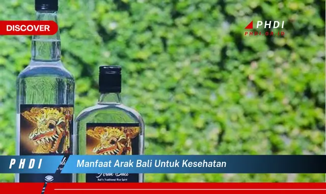 manfaat arak bali untuk kesehatan