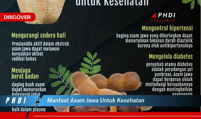 manfaat asam jawa untuk kesehatan