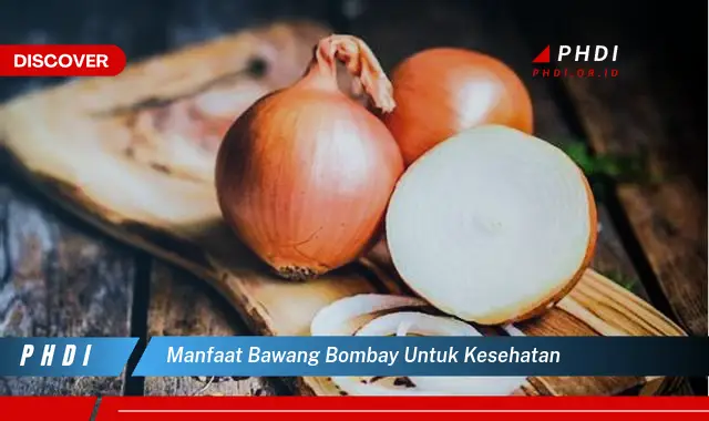 manfaat bawang bombay untuk kesehatan