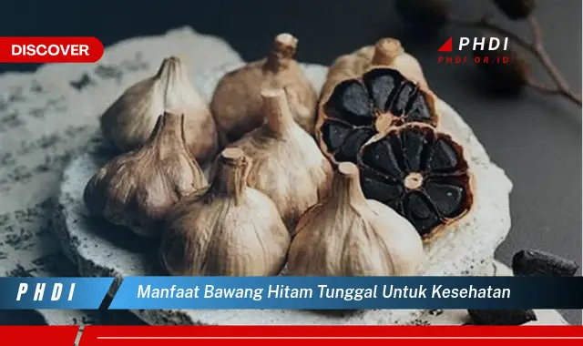 manfaat bawang hitam tunggal untuk kesehatan