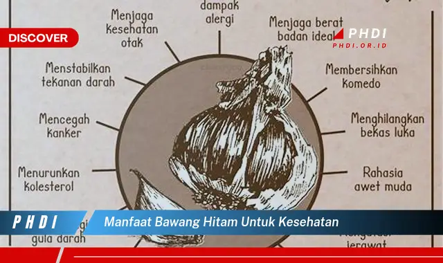 manfaat bawang hitam untuk kesehatan