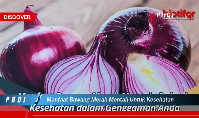 manfaat bawang merah mentah untuk kesehatan