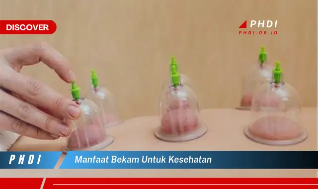 manfaat bekam untuk kesehatan