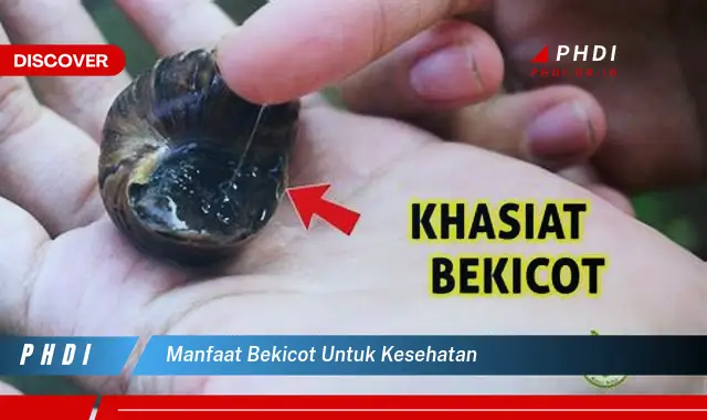 manfaat bekicot untuk kesehatan