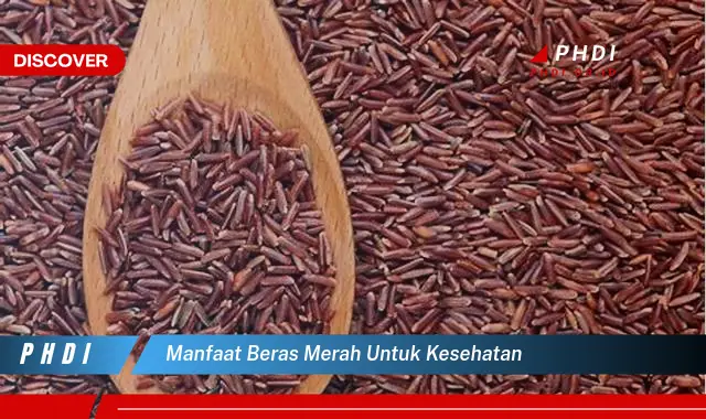 manfaat beras merah untuk kesehatan