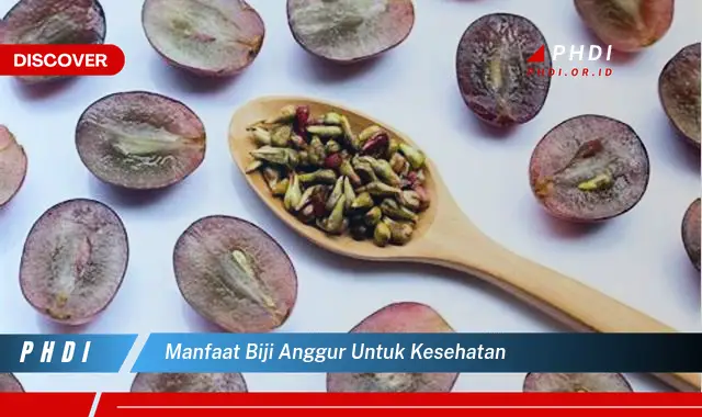 manfaat biji anggur untuk kesehatan