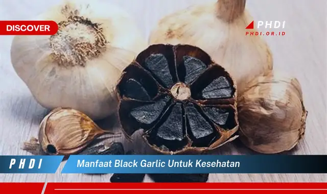 manfaat black garlic untuk kesehatan