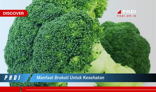 manfaat brokoli untuk kesehatan