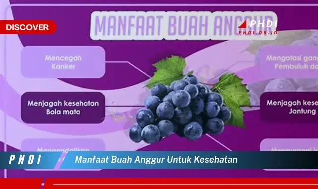 manfaat buah anggur untuk kesehatan