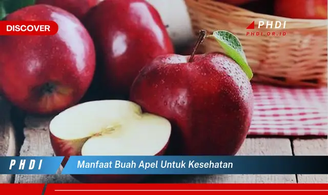 manfaat buah apel untuk kesehatan