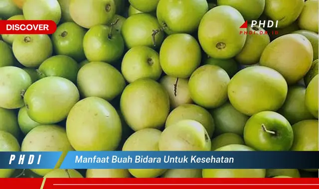 manfaat buah bidara untuk kesehatan