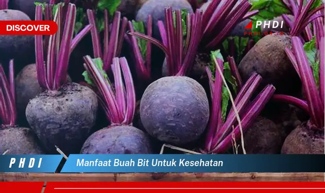 manfaat buah bit untuk kesehatan