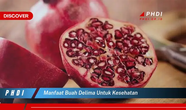 manfaat buah delima untuk kesehatan