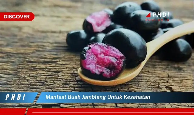 manfaat buah jamblang untuk kesehatan