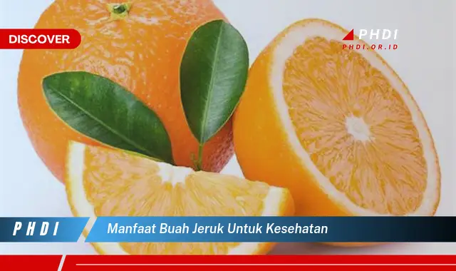 manfaat buah jeruk untuk kesehatan