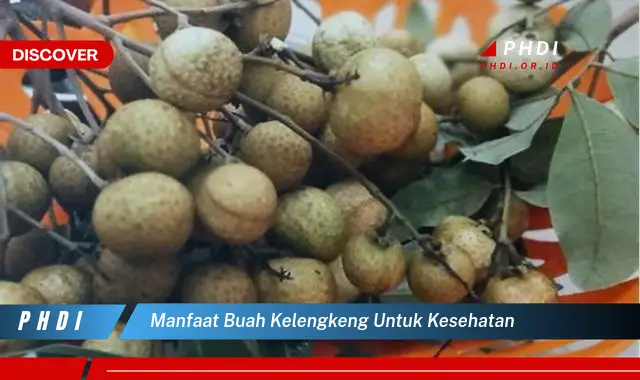 manfaat buah kelengkeng untuk kesehatan