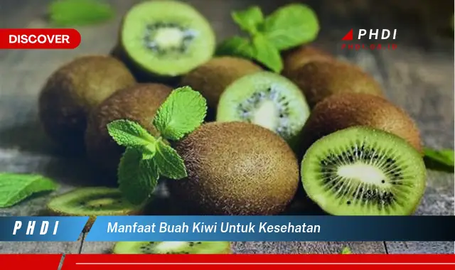 manfaat buah kiwi untuk kesehatan